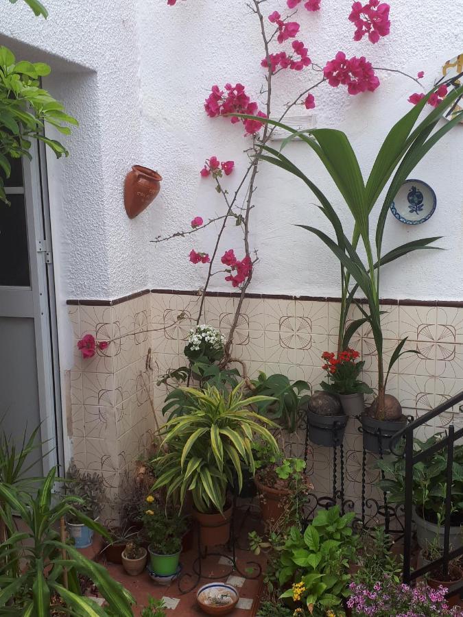奥维拉 The Jasmine House酒店 外观 照片